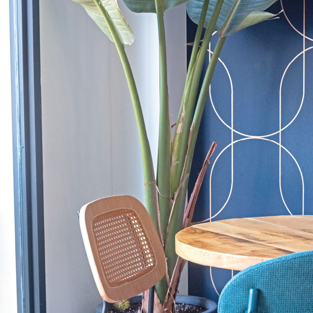 carrusel del localMesa de trabajo 1